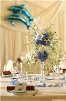 上海麦唯婚庆礼仪服务——‘蓝调浪漫’套餐详情、价格及图片一览