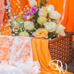 绿野仙踪的扬州造梦之旅 记第9张相册与Wed114结婚网的婚庆服务